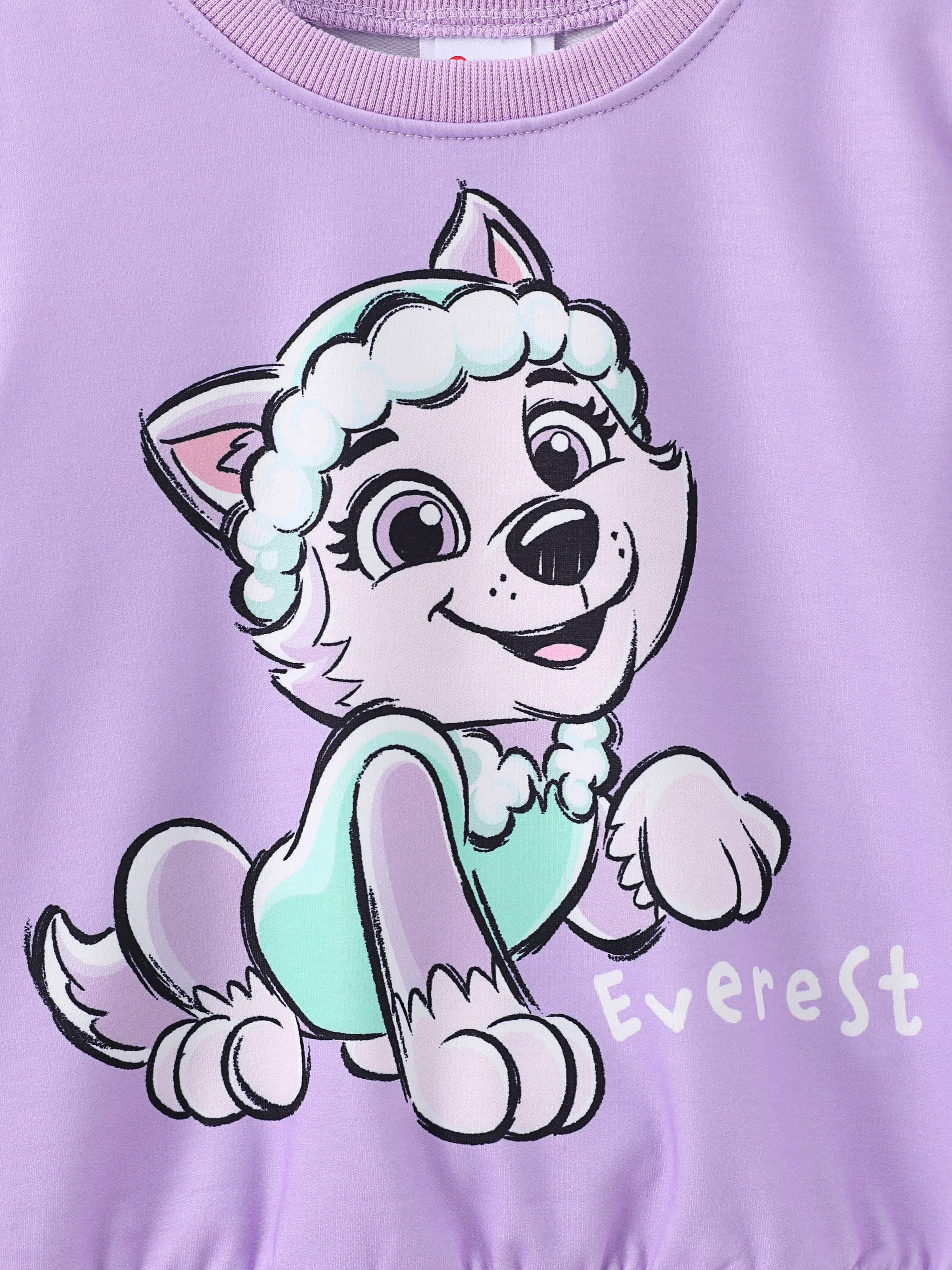 PAW Patrol Toddler Girl Everest Print Sweatshirt Light Purple